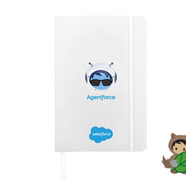 Agentforce Notebook