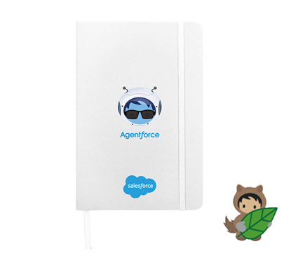 Agentforce Notebook