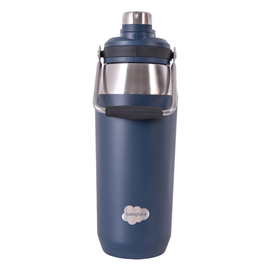 1L Stainless Steel Dual Lid Bottle - Navy
